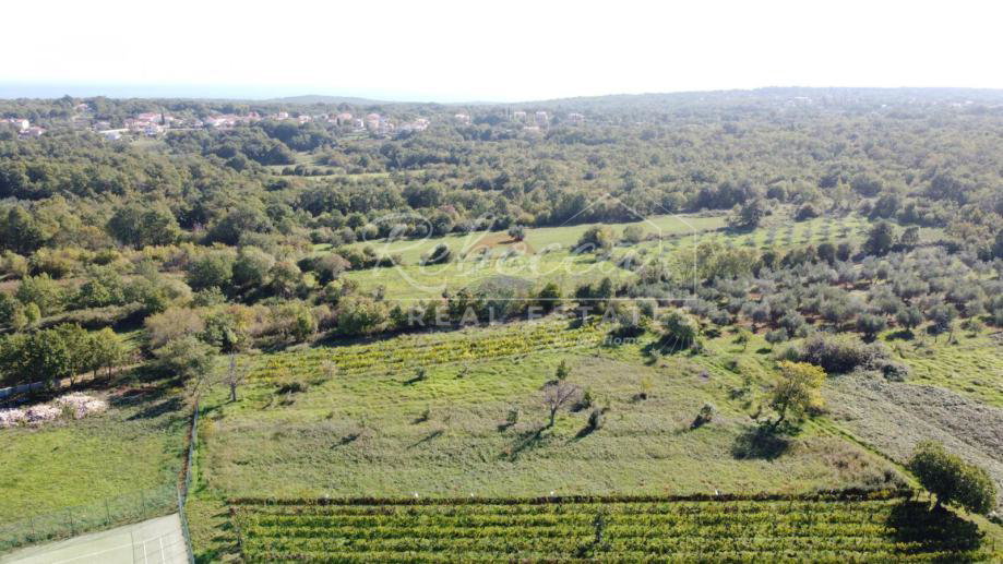 Poljoprivredno zemljište, oranica 8244m2 u Marčani
