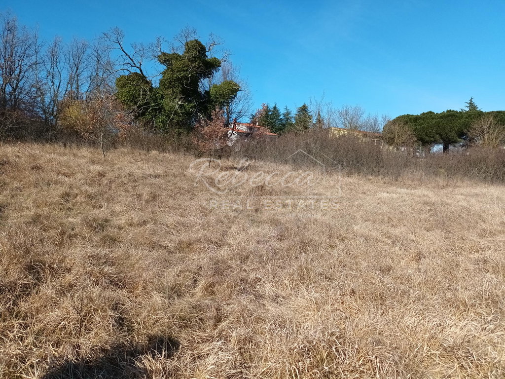 Építési telek, 3.120 m², Motovun (Montana)