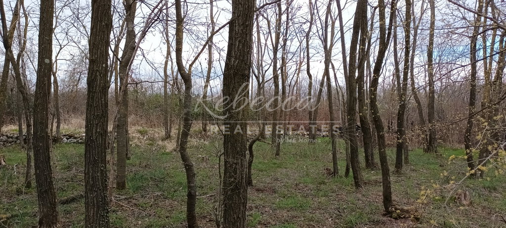 Landwirtschaftliche Fläche, 15.160 m², Pazin