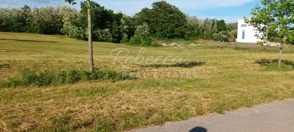 Építési telek, 37.000 m², Pazin
