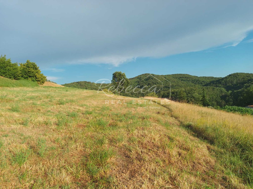 Gradbeno zemljišče, 7.289 m², Pazin