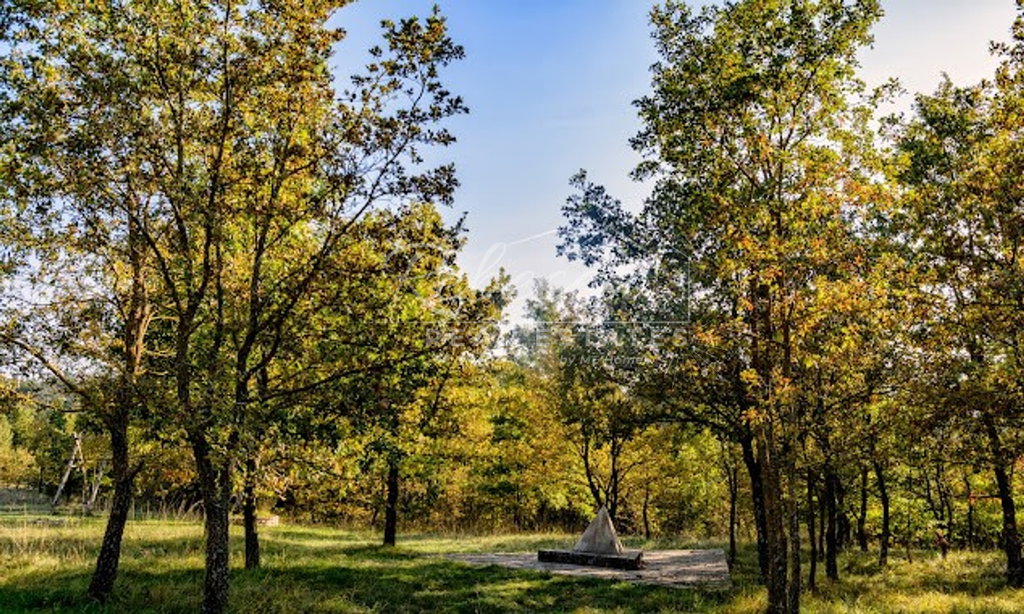 DINTORNI DI PAZIN: GRANDE TERRENO AGRICOLO
