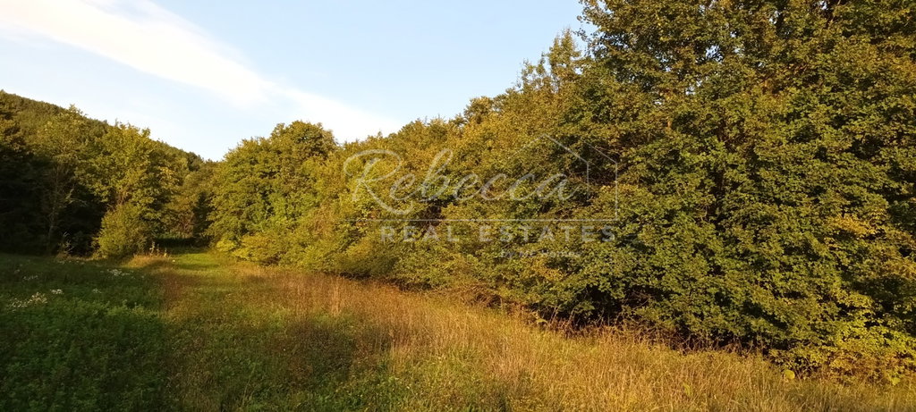 Kmetijska površina, 30.904 m², Pazin
