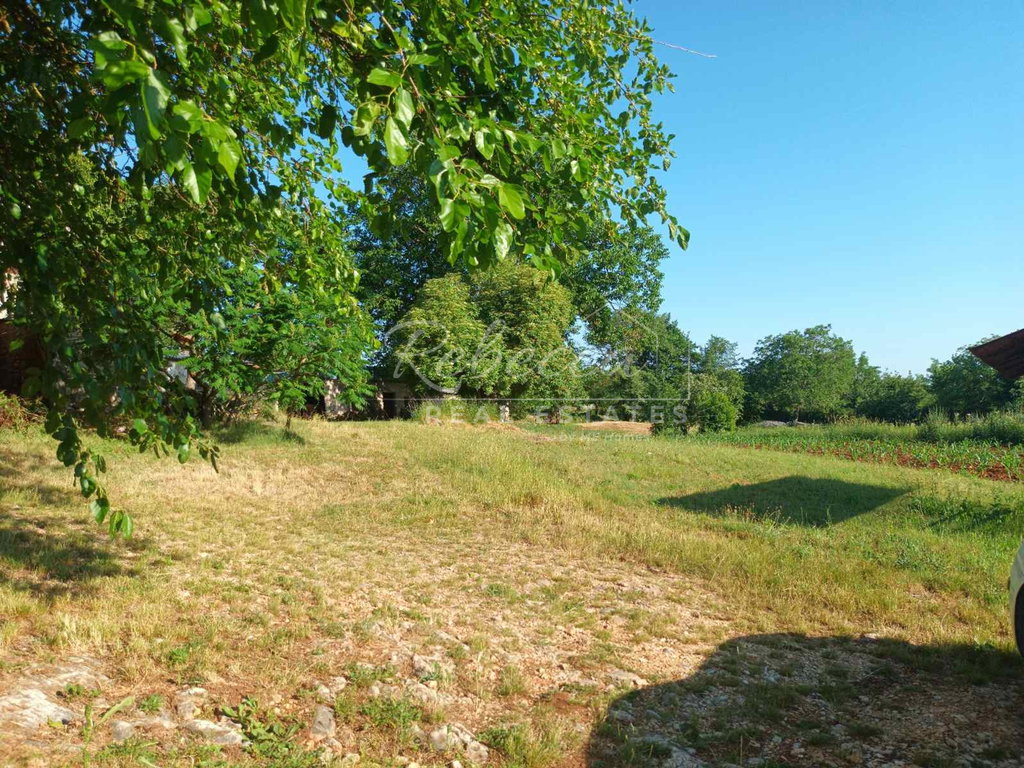 Kmetijska površina, 76.000 m², Pićan