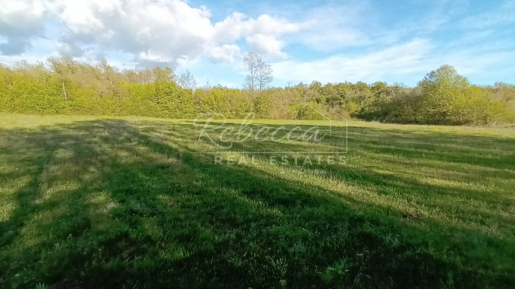 Istria, Barban, terreno agricolo 4996 m2