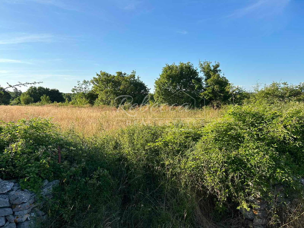 Terreno edificabile 1381 m2