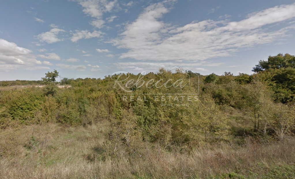 Agricultural land, Mrgani