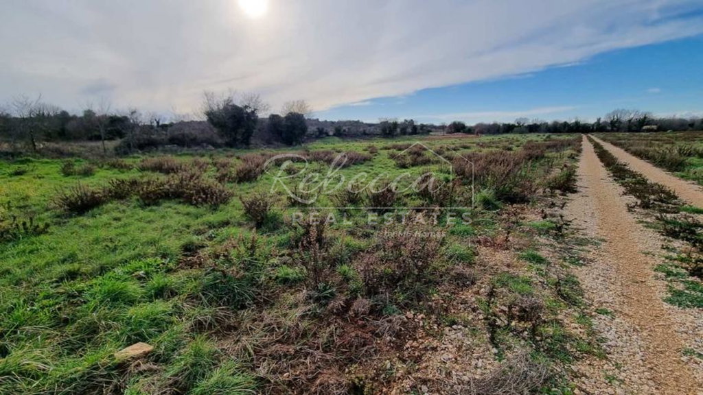 Superficie agricola, 4.533 m², Ližnjan (Lisignano)
