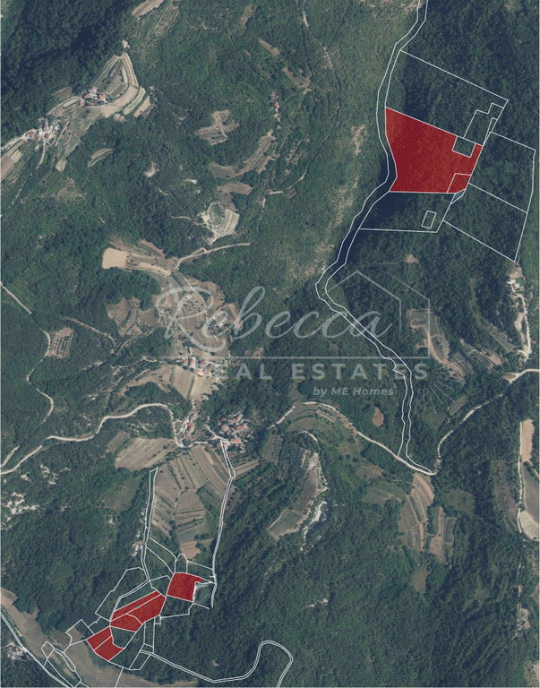 Poľnohospodárska plocha, 55.583 m², Pazin
