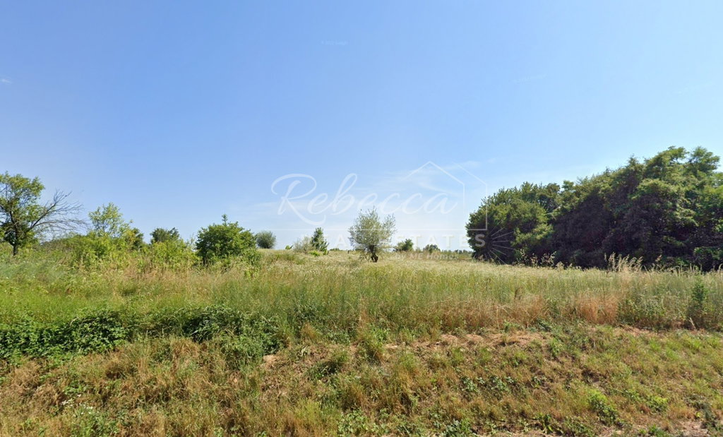 Superficie agricola, 24.353 m², Svetvinčenat
