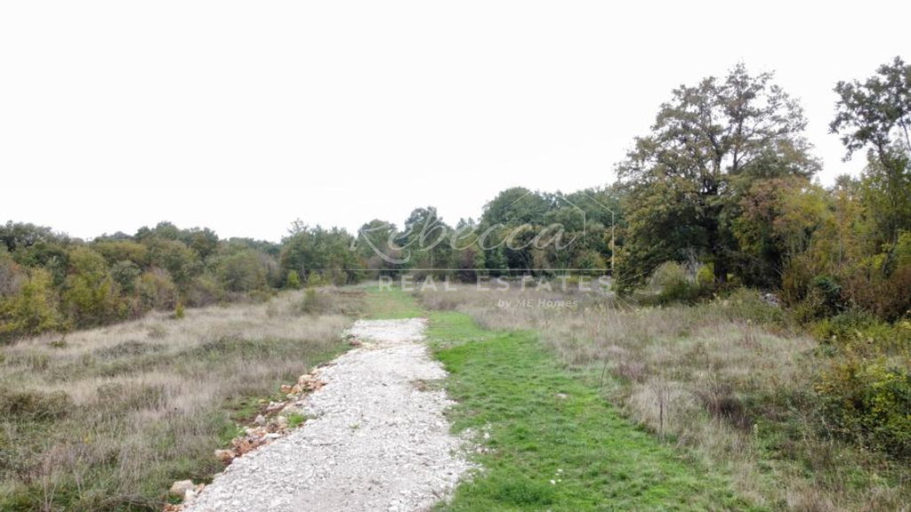 Gradbeno zemljišče, 4000 m2, Juršići