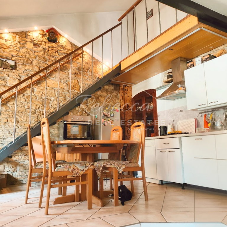 House Pazin