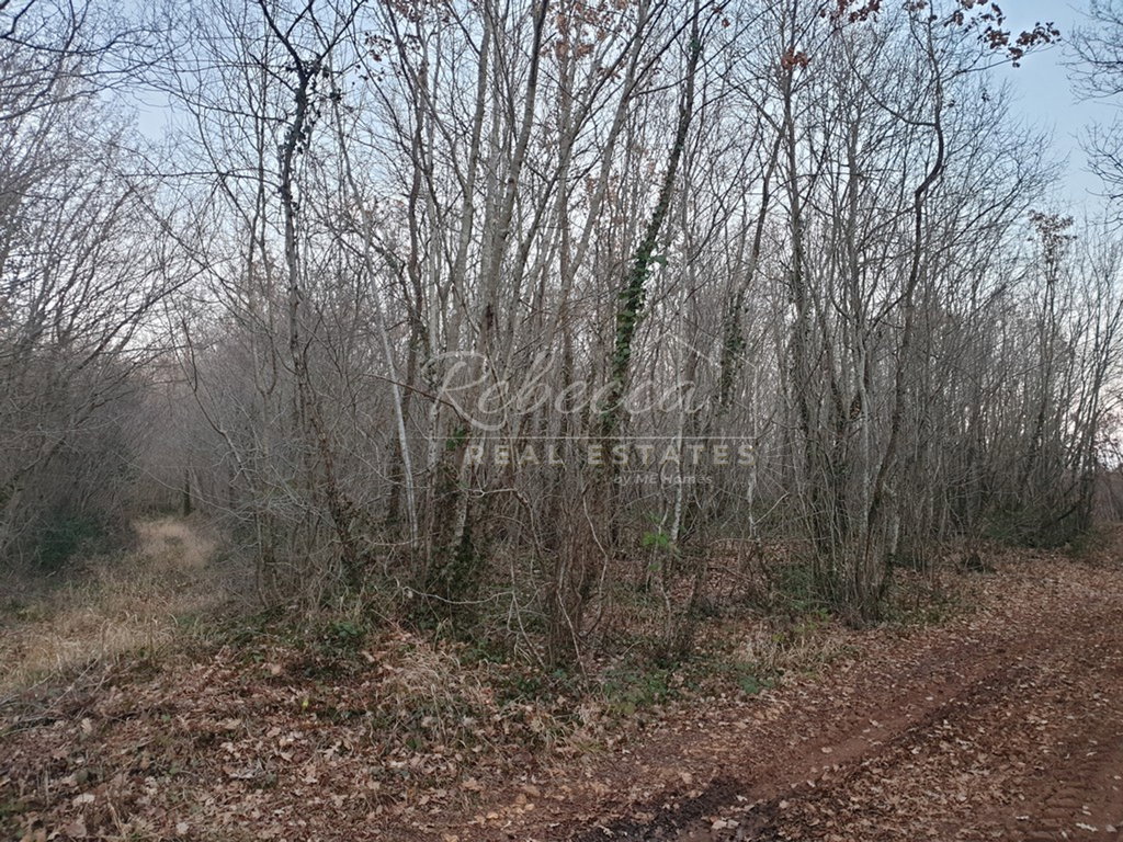 Terreno agricolo, 1895 m2, nelle vicinanze di Barban