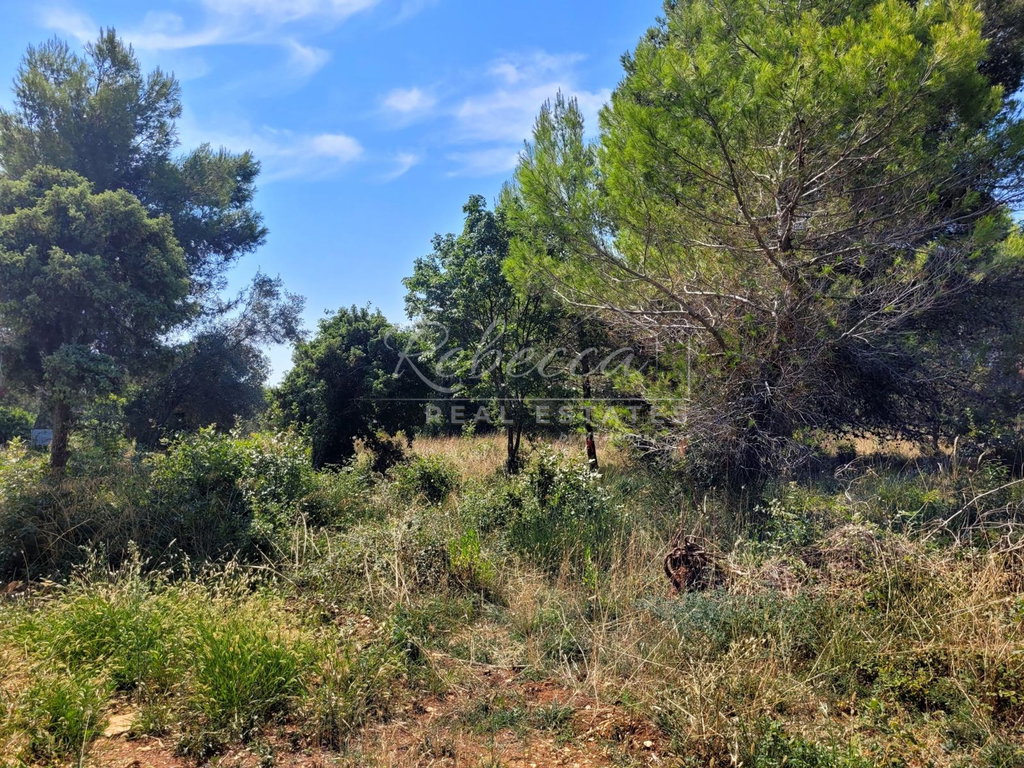 Terreno edificabile, 758 m²