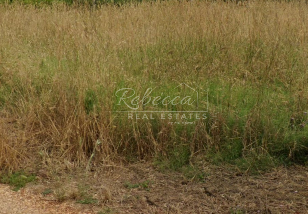 Superficie agricola, 1.006 m²