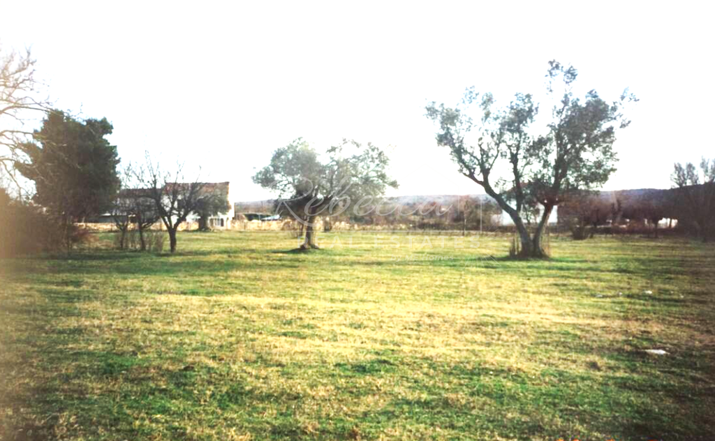 Ampia proprietà di 7800 m2, terreno edificabile, vicinanza a Bale