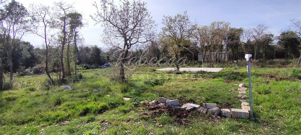 Agricultural land, 625 m2, 1000 m from the sea, Peroj
