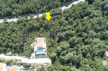 opereta_carousel_photo_9