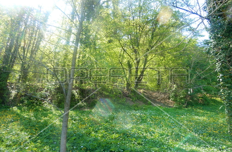 opereta_carousel_photo_5