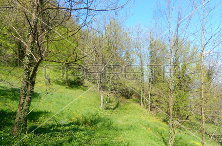 opereta_carousel_photo_6