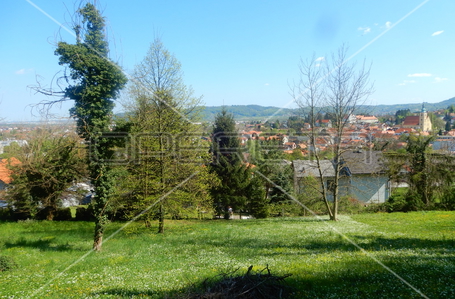 opereta_carousel_photo_7