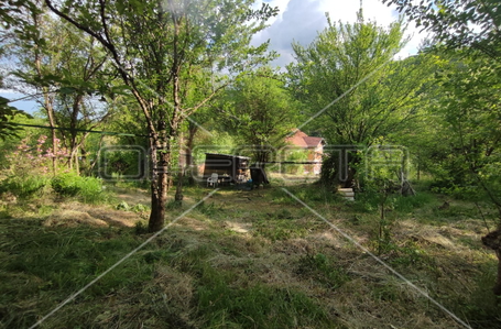 opereta_carousel_photo_2