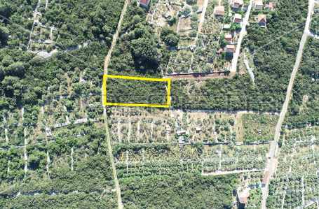 opereta_carousel_photo_2