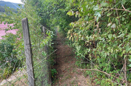 opereta_carousel_photo_4