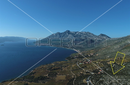 opereta_carousel_photo_3