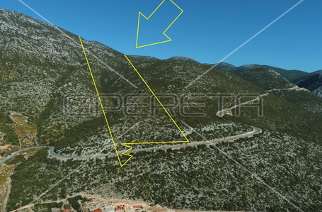 opereta_carousel_photo_2