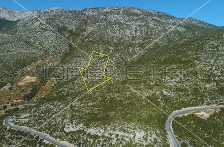 opereta_carousel_photo_5