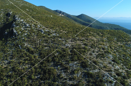 opereta_carousel_photo_6