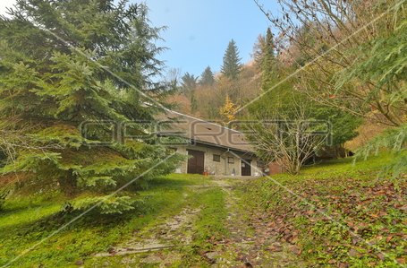 opereta_carousel_photo_7