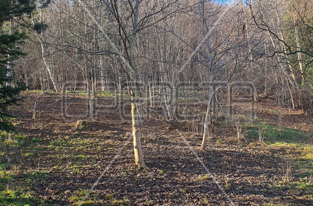 opereta_carousel_photo_3