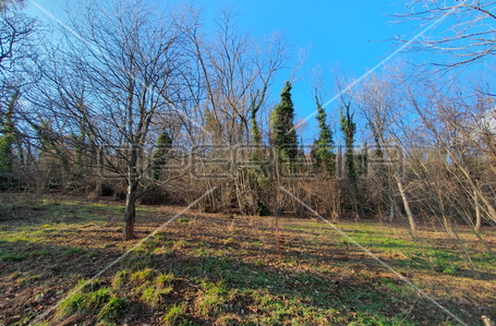 opereta_carousel_photo_4