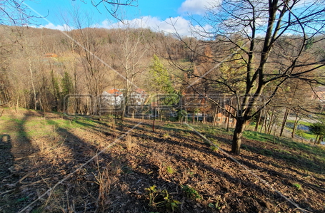 opereta_carousel_photo_5