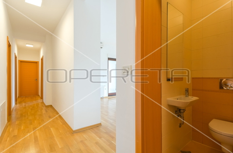 opereta_carousel_photo_4