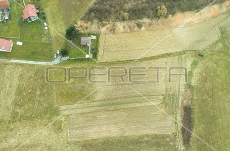 opereta_carousel_photo_6