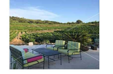 opereta_carousel_photo_5