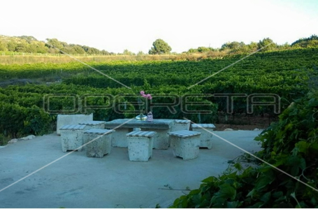 opereta_carousel_photo_7