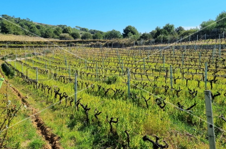 opereta_carousel_photo_2