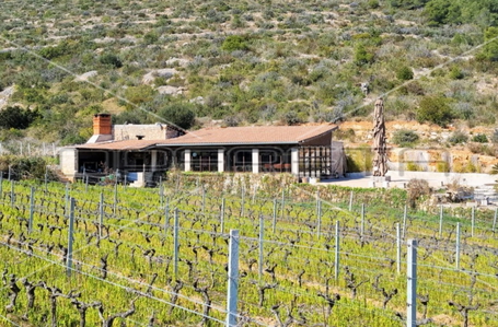 opereta_carousel_photo_8