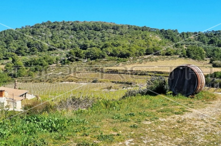 opereta_carousel_photo_3