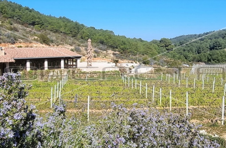 opereta_carousel_photo_4