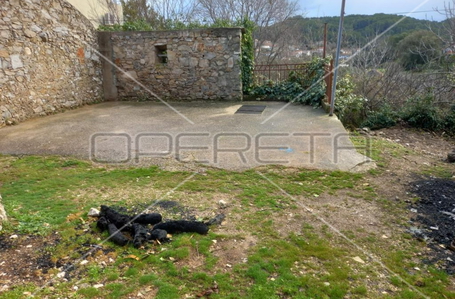 opereta_carousel_photo_4