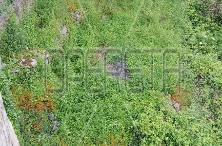 opereta_carousel_photo_9