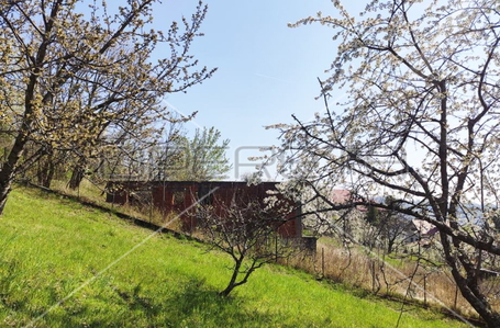 opereta_carousel_photo_3