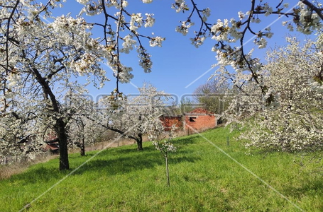 opereta_carousel_photo_2