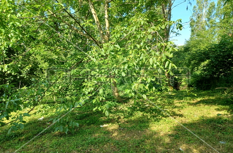 opereta_carousel_photo_7