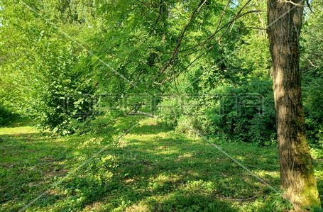 opereta_carousel_photo_3